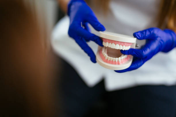 Keyport, NJ Holistic Dental Care Services Company